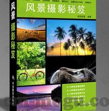 成人伦理图片在线-成人伦理图片的界限与思考