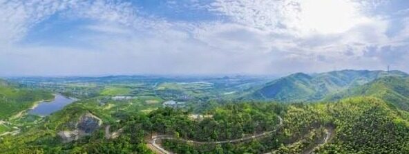 大象传媒ios下载-探索大象传媒在iOS平台的下载体验，解锁娱乐新视界