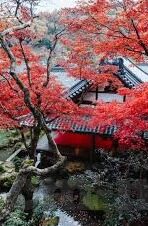 果冻传媒视频在线-探索果冻传媒视频在线的多元化娱乐体验