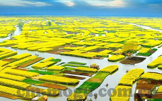 快猫回家视频麻豆在线-回归家庭的温馨之旅 —— 快猫回家视频麻豆之旅的启示