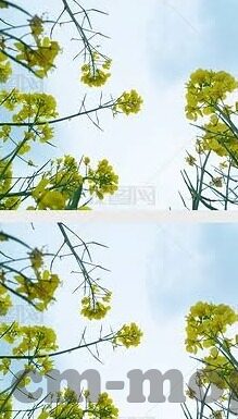 麻豆app手机下载-便携手握，瞬间拥享——探寻麻豆APP的手机下载新体验