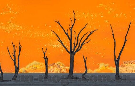 麻豆传媒影视入口-