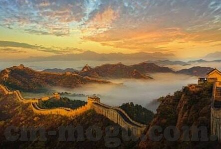 麻豆公寓 天美传媒-麻豆公寓，城市里的一抹独特风景线