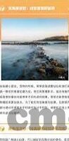 麻豆色多多番茄香蕉草莓视频-麻豆色多多，量贩式诱惑背后的虚幻体验
