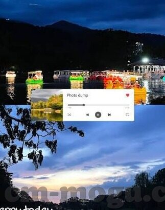 麻豆视频在线观看app-麻豆视频，解锁在线娱乐新视界的高效工具