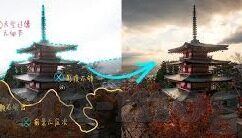 免费欧美成人在线视频-探索网络世界的多元视角，免费欧美成人在线视频的理性审视