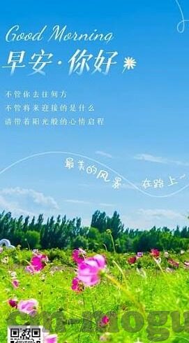 糖心官网app-糖心官网APP，科技创新与便捷生活的新篇章
